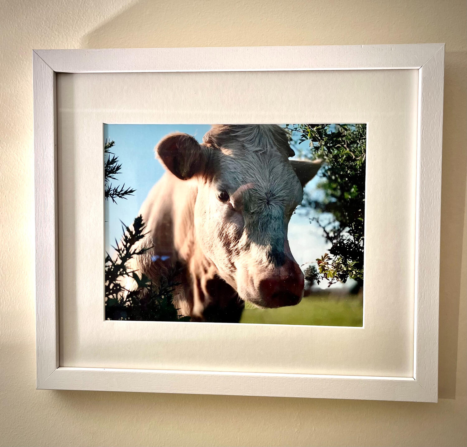 Hedgecow, framed. Art derived from a photograph by Kevin MacAlan entitled 'Hedgecow', shown here in a frame.
