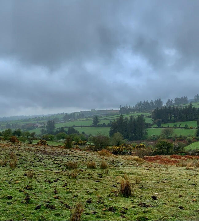 Waterford fields, to illustrate the poem by Kevin MacAlan